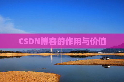 CSDN博客的作用与价值